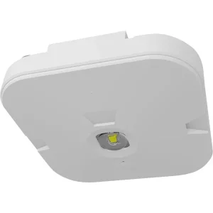 PANLUX PN35200008 CORDELIA AREA 3W 3h přisazený Oblíbený