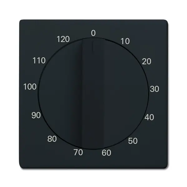 ABB 2CKA001753A0265 FUTURE Kryt ovládače časového mechanického; antracitová Doprava Zdarma