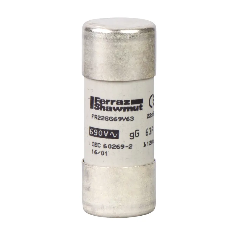 Prémiový SCHNEIDER DF2FN80 Pojistka gG 22X58, 80A, 660V