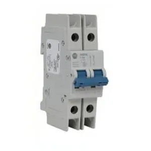 ALLEN BRADLEY 1489-M2C060 Jistič 2P 6A C UL Velkoobchod