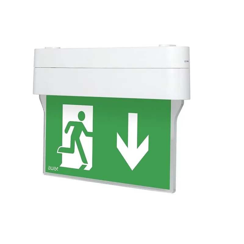 Tovární Cena MODUS ARROW N 1W LED BASIC IP41 1h,svítící při výpadku,bílé, univ. pikt. *OZN/ARN/1W/E/1/S