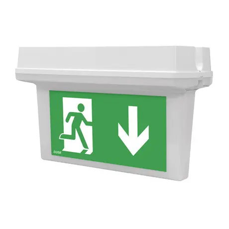 MODUS OZN/HD/8W/T/1/SE/X/OP HELIOS DS 8W STANDARD IP65 1h , svítící při výpadku Levný