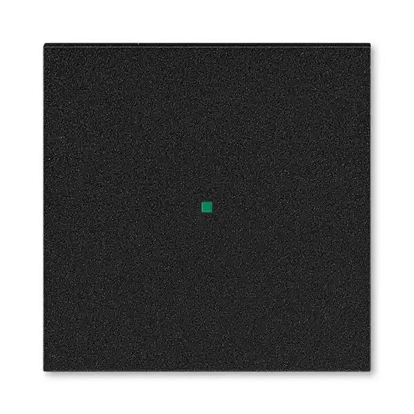 ABB 6220H-A01000 63 Kryt 1násobný, bez potisku, onyx Tovární Cena