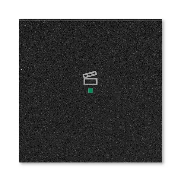 ABB 6220H-A01003 63 Kryt 1násobný, symbol scény, onyx Ihned K Objednání